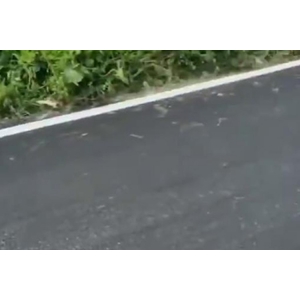 道路劃線施工